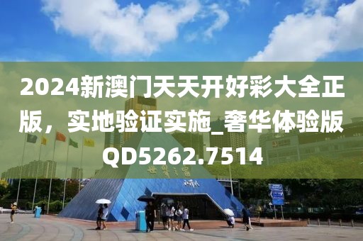 2024新澳门天天开好彩大全正版，实地验证实施_奢华体验版QD5262.7514