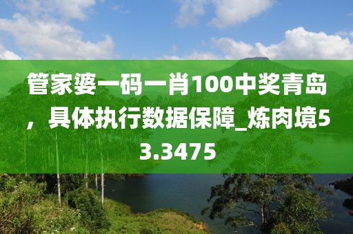 管家婆一码一肖100中奖青岛，具体执行数据保障_炼肉境53.3475