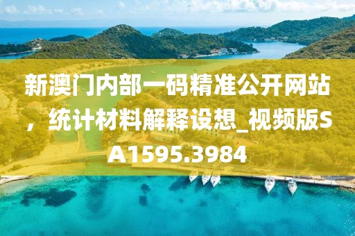 新澳门内部一码精准公开网站，统计材料解释设想_视频版SA1595.3984