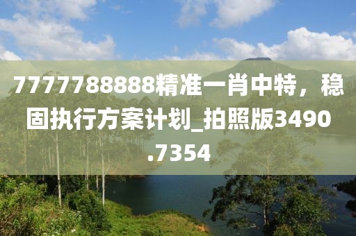 7777788888精准一肖中特，稳固执行方案计划_拍照版3490.7354