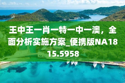 王中王一肖一特一中一澳，全面分析实施方案_便携版NA1815.5958