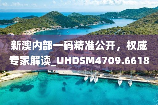 新澳内部一码精准公开，权威专家解读_UHDSM4709.6618