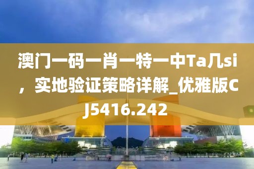 澳门一码一肖一特一中Ta几si，实地验证策略详解_优雅版CJ5416.242
