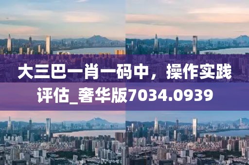 大三巴一肖一码中，操作实践评估_奢华版7034.0939