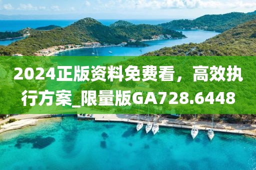 2024正版资料免费看，高效执行方案_限量版GA728.6448