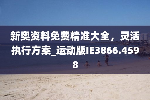 新奥资料免费精准大全，灵活执行方案_运动版IE3866.4598