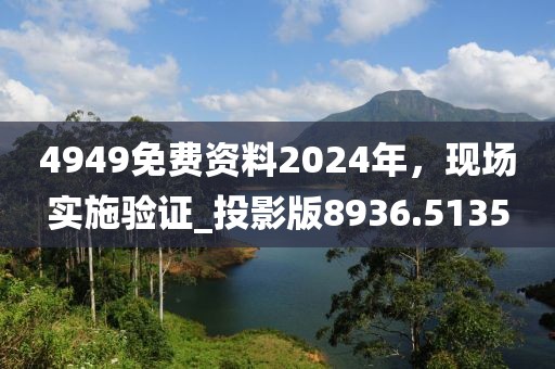 4949免费资料2024年，现场实施验证_投影版8936.5135