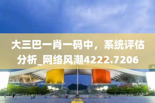 大三巴一肖一码中，系统评估分析_网络风潮4222.7206