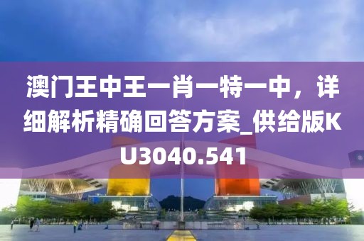 澳门王中王一肖一特一中，详细解析精确回答方案_供给版KU3040.541