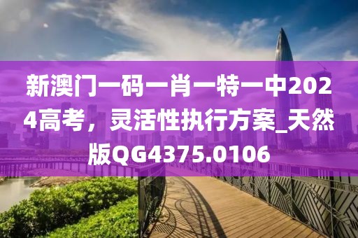 新澳门一码一肖一特一中2024高考，灵活性执行方案_天然版QG4375.0106