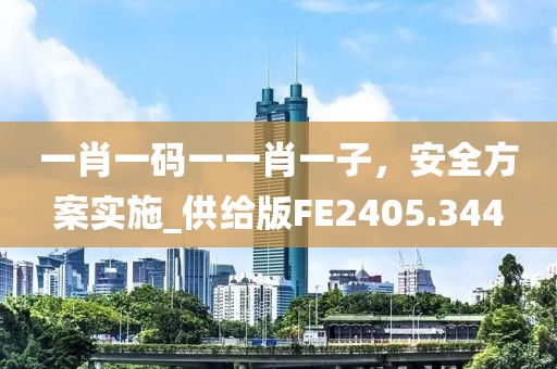 一肖一码一一肖一子，安全方案实施_供给版FE2405.344