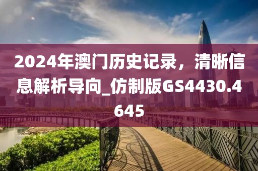 2024年澳门历史记录，清晰信息解析导向_仿制版GS4430.4645