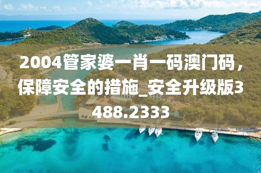 2004管家婆一肖一码澳门码，保障安全的措施_安全升级版3488.2333