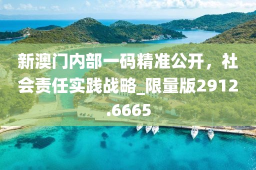 新澳门内部一码精准公开，社会责任实践战略_限量版2912.6665