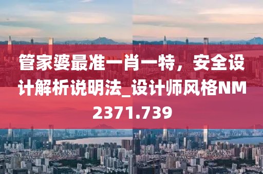 管家婆最准一肖一特，安全设计解析说明法_设计师风格NM2371.739