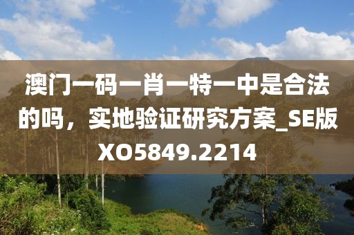 澳门一码一肖一特一中是合法的吗，实地验证研究方案_SE版XO5849.2214