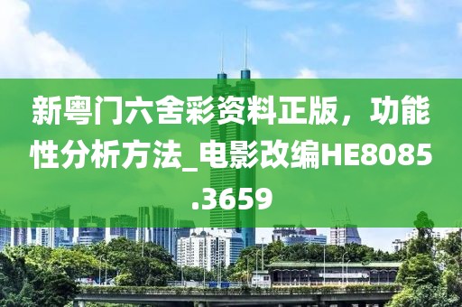 新粤门六舍彩资料正版，功能性分析方法_电影改编HE8085.3659