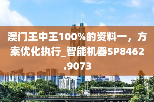 澳门王中王100%的资料一，方案优化执行_智能机器SP8462.9073