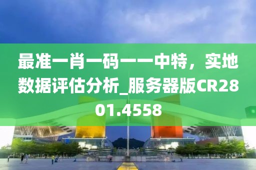 最准一肖一码一一中特，实地数据评估分析_服务器版CR2801.4558