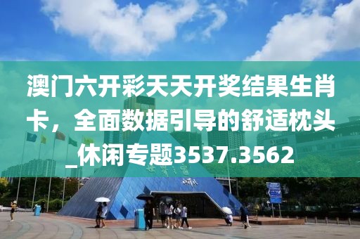 澳门六开彩天天开奖结果生肖卡，全面数据引导的舒适枕头_休闲专题3537.3562