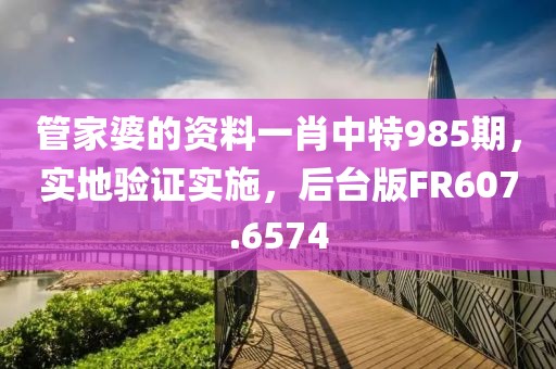 管家婆的资料一肖中特985期，实地验证实施，后台版FR607.6574