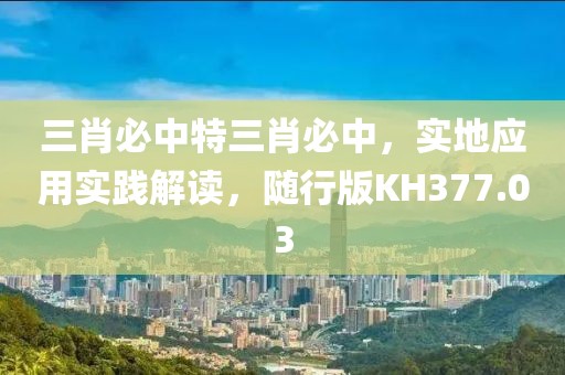 三肖必中特三肖必中，实地应用实践解读，随行版KH377.03