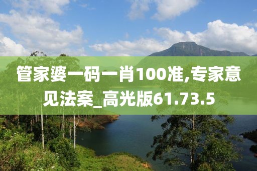 管家婆一码一肖100准,专家意见法案_高光版61.73.5