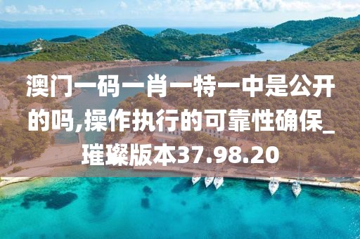 澳门一码一肖一特一中是公开的吗,操作执行的可靠性确保_璀璨版本37.98.20