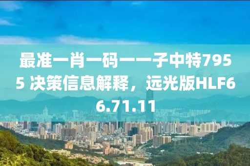 最准一肖一码一一子中特7955 决策信息解释，远光版HLF66.71.11