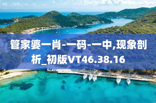 管家婆一肖-一码-一中,现象剖析_初版VT46.38.16