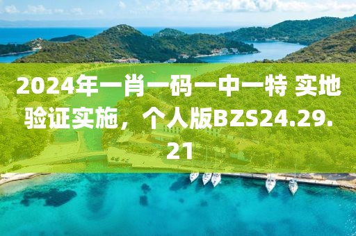 2024年一肖一码一中一特 实地验证实施，个人版BZS24.29.21