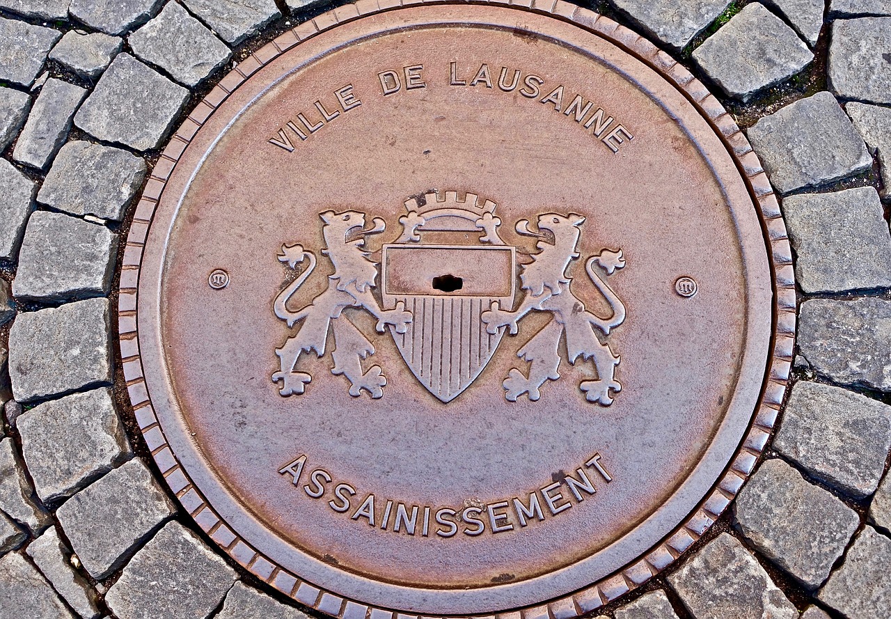 2024新澳门天天开好彩大全孔的五伏,最新片子图片,兼容版IZO95.33.32